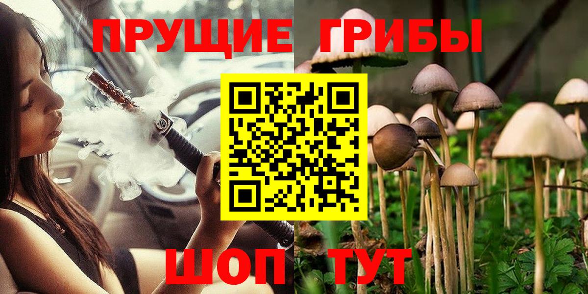 Красноярск  Псилоцибиновые грибы Cubensis  Вход с VPN 