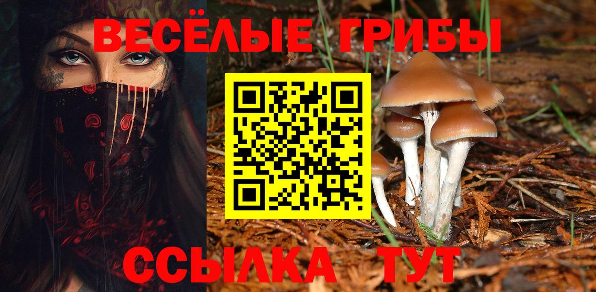 Галлюциногенные грибы GOLDEN TEACHER Красноярск